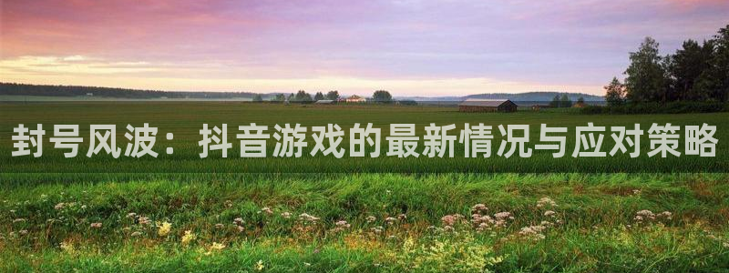 银河(galaxy)啤酒多少钱一箱：封号风波：抖音游戏的最新情况与应对策略