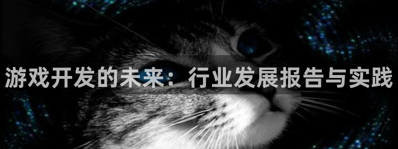 银河官网注册方法视频：游戏开发的未来：行业发展报告与实践