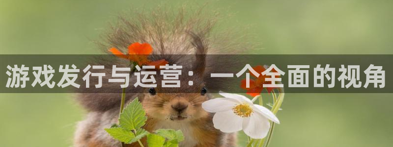 银河官网客服怎么样