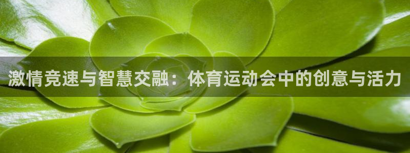 xc体育：激情竞速与智慧交融：体育运动会中的创意与活力