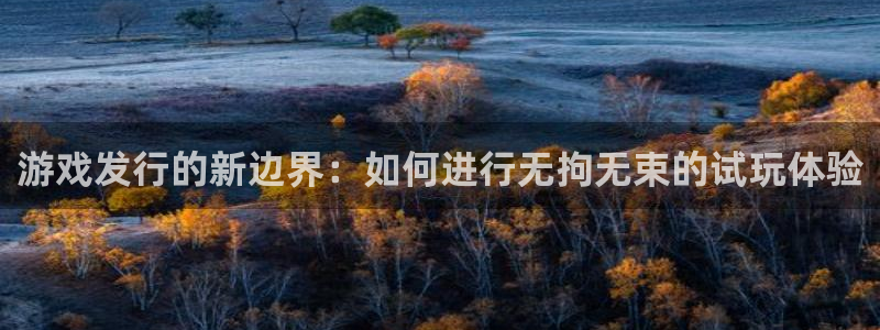 银河官网注册方法有哪些软件：游戏发行的新边界：如何进行无拘无束的试玩体验