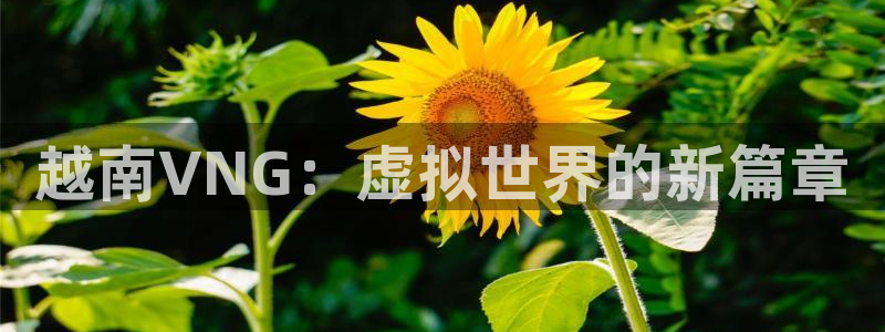 银河官网注册登录官网：越南VNG：虚拟世界的新篇章